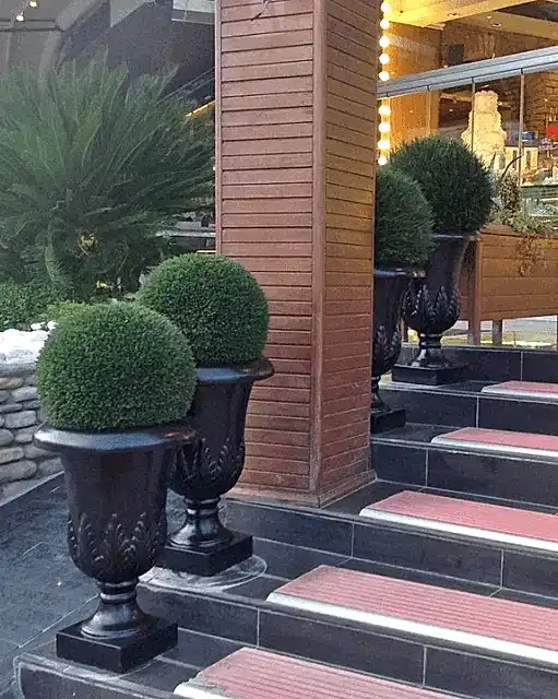yapay top şimşir ağacı