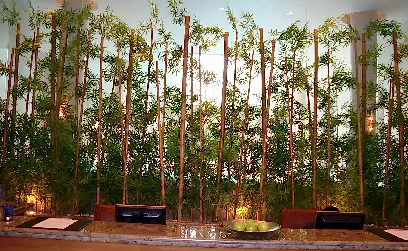 otellere-yapay-bambu-agac-dekorasyonu otellere-yapay-bambu-agac-dekorasyonu