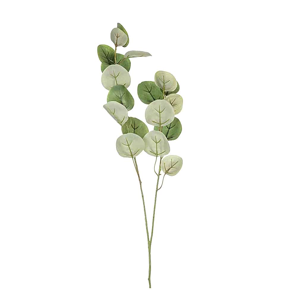 Silver Dollar Okaliptus Spray Silver Dollar Okaliptus Spray