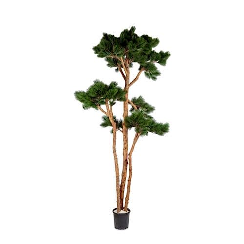 Yapay Ficus Retusa Ağaç 190 CM Yapay Ficus Retusa Ağaç 190 CM
