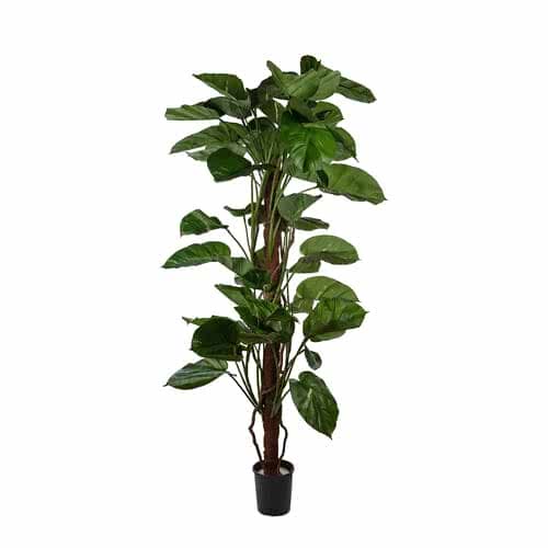 Yapay Pathos Ağaç 180 CM Yapay Pathos Ağaç 180 CM