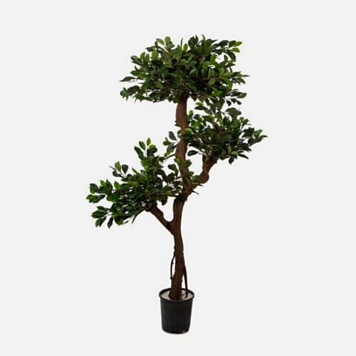 Yapay Ficus Retusa 120 Cm Yapay Ficus Retusa 120 Cm