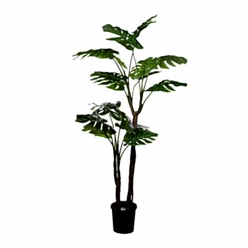 Yapay Monstera Ağaç 160 Cm Yapay Monstera Ağaç 160 Cm