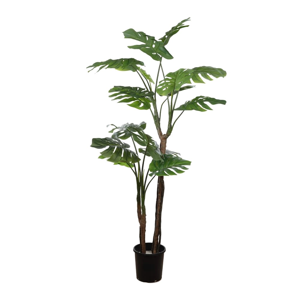 Yapay Monstera Ağaç 160 Cm Yapay Monstera Ağaç 160 Cm