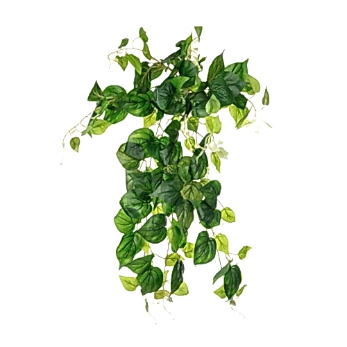 Yapay Pathos Sarmaşık Demet 80 Cm