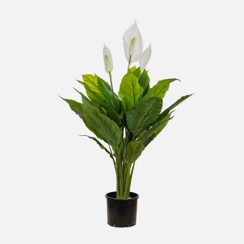 Yapay Yelken Çiçeği 95 Cm Yapay Yelken Çiçeği 95 Cm