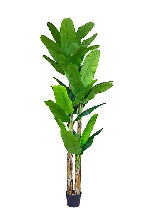 Yapay Muz Ağacı 360 Cm Yapay Muz Ağacı 360 Cm