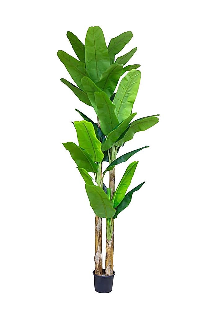 Yapay Muz Ağacı 360 Cm Yapay Muz Ağacı 360 Cm