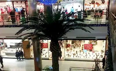 yapay-palmiye-agaclariyla-dekorasyon yapay-palmiye-agaclariyla-dekorasyon