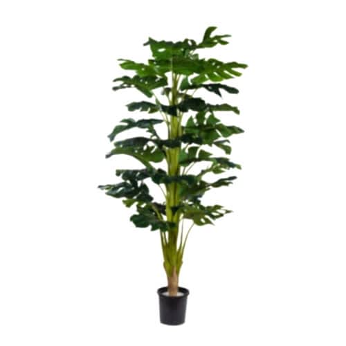 Yapay Monstera Tree 180 CM Yapay Monstera Tree 180 CM