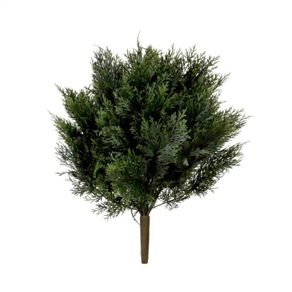 Cedar Bush (60cm) Cedar Bush (60cm)