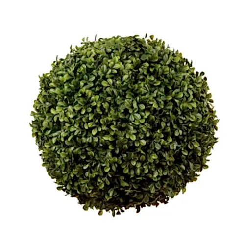 Boxwood Ball (38cm)
