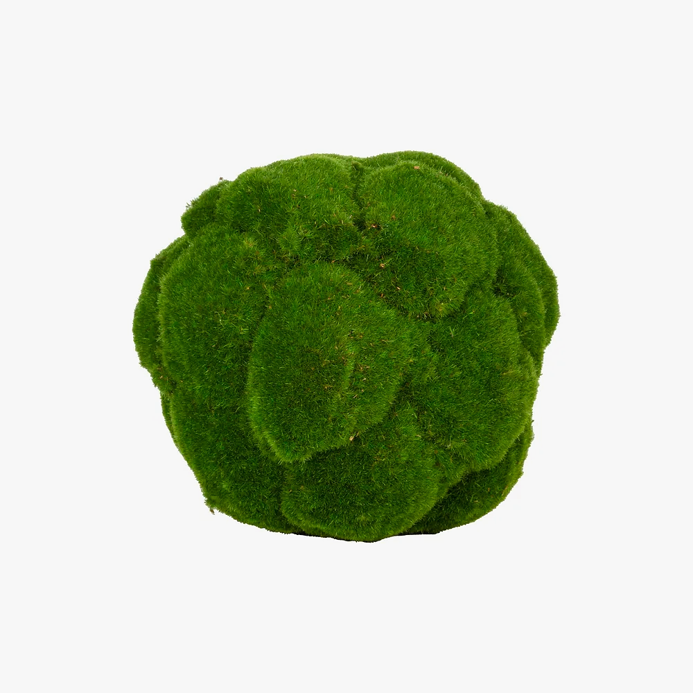 Moss Ball (23cm) Moss Ball (23cm)
