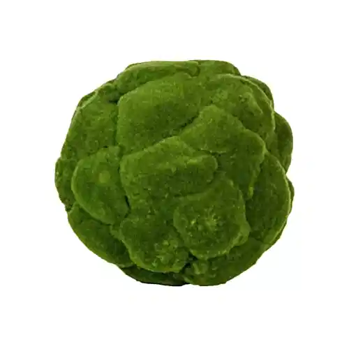 Moss Ball (30cm) Moss Ball (30cm)
