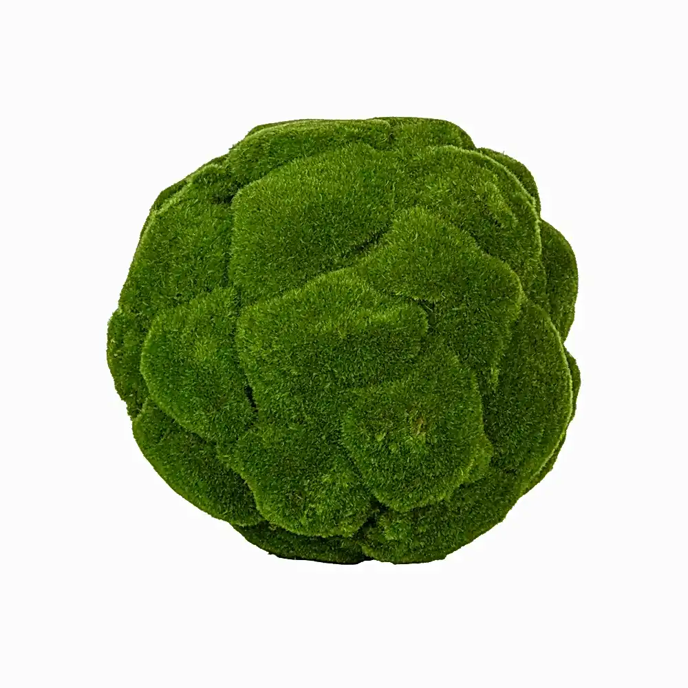 Moss Ball (30cm) Moss Ball (30cm)
