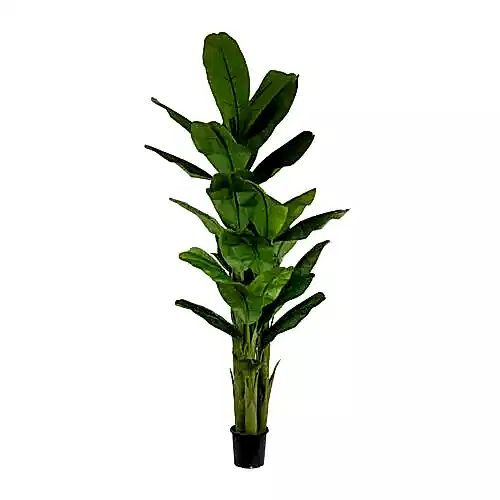 Yapay Muz Ağacı 230 Cm Yapay Muz Ağacı 230 Cm