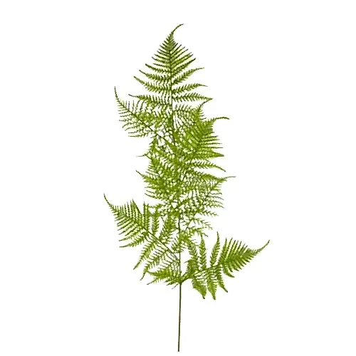Fern Spray 96 CM Fern Spray 96 CM