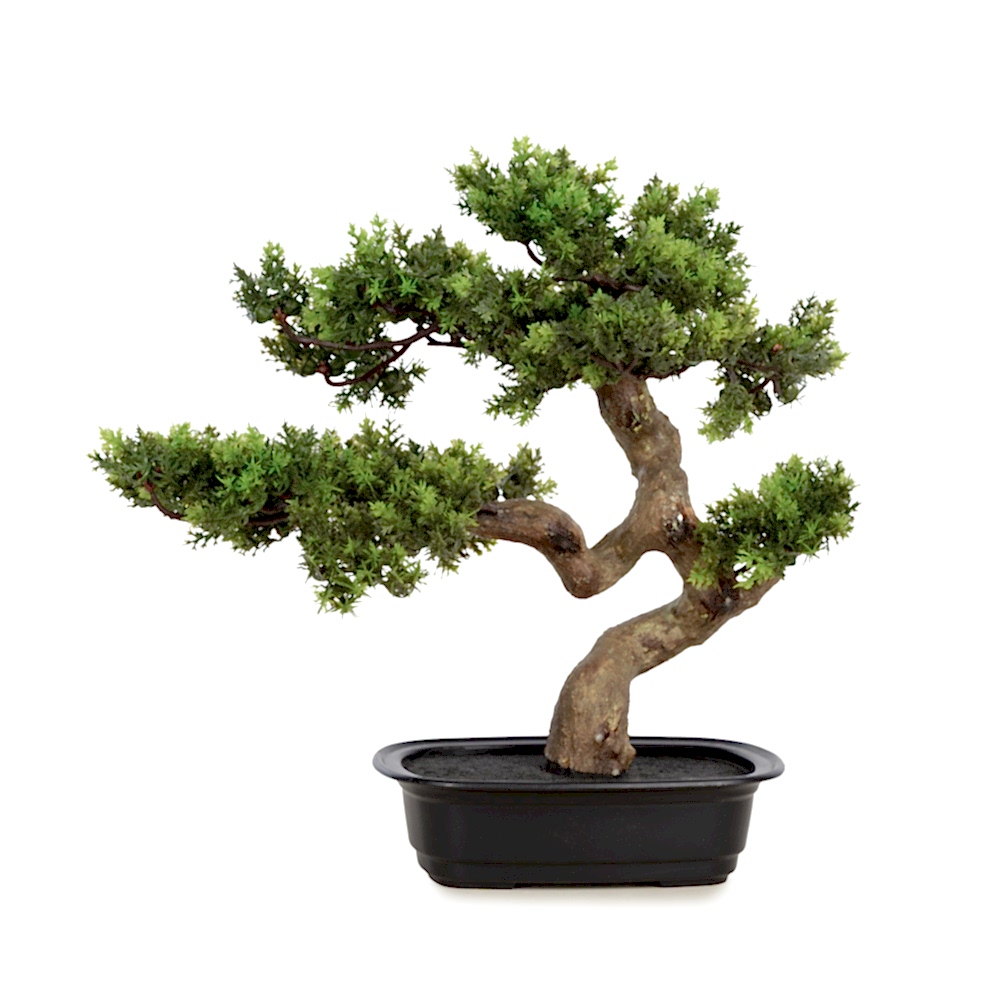 Juniper Bonsai 39 CM Juniper Bonsai 39 CM