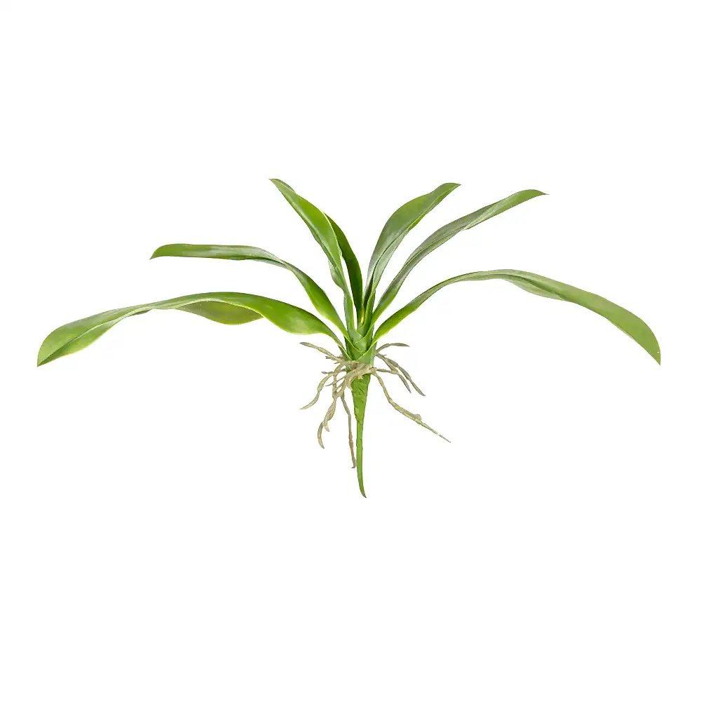 Orchid Leaf (34 CM)