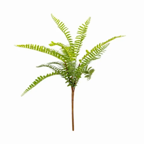 Fern Bush (43 CM) Fern Bush (43 CM)