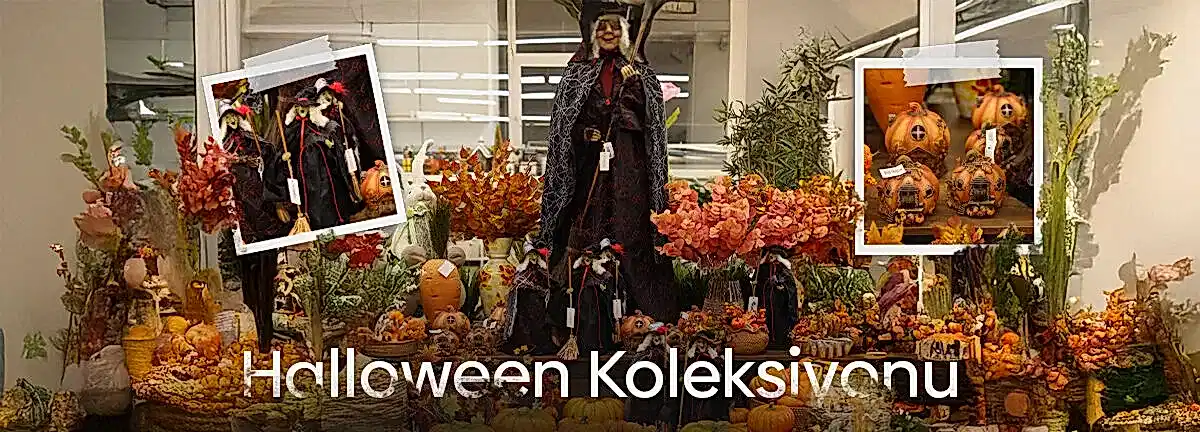Desktop Banner