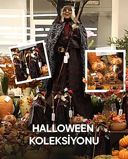 Mobile Banner