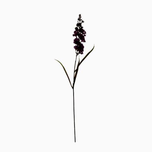 Yapay Deniz Lavantası (89 CM)