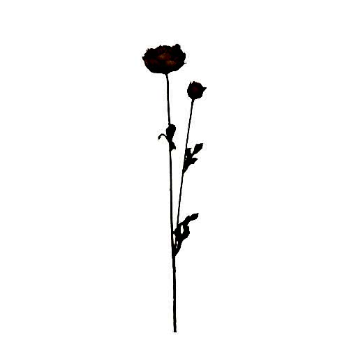 Yapay Düğün Çiçeği (63 CM)