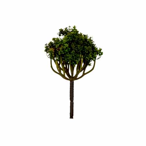 Yapay Succulent (23 CM) Yapay Succulent (23 CM)