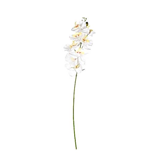 Phalaenopsis Orkide (83 CM)