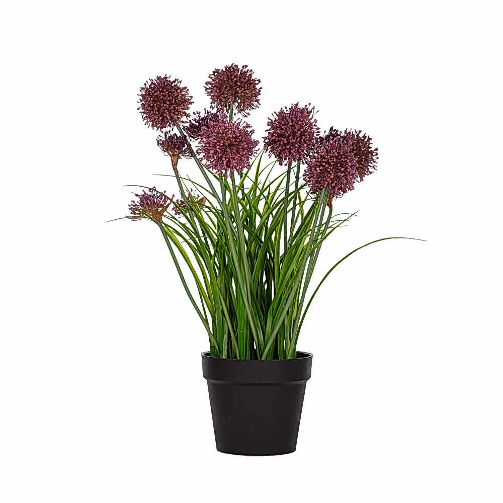 Yapay Saksılı Allium (72 CM) Yapay Saksılı Allium (72 CM)