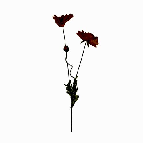 Yapay Gelincik (70 CM)