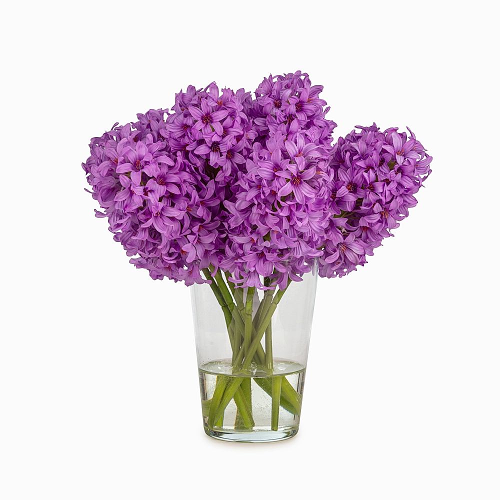 Jelli Lavender Sümbül Aranjman (38 CM) Jelli Lavender Sümbül Aranjman (38 CM)