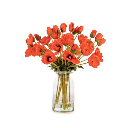 Jelli Cam Vazoda Orange Gelincik Aranjman (50 CM) Jelli Cam Vazoda Orange Gelincik Aranjman (50 CM)