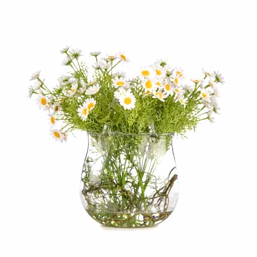 Jelli Cam Çanta Papatya Aranjman (34 CM)