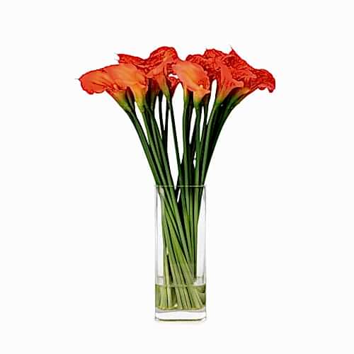 Jelli Islak Dokulu Cam Vazoda Orange Gala Aranjman (55 CM)