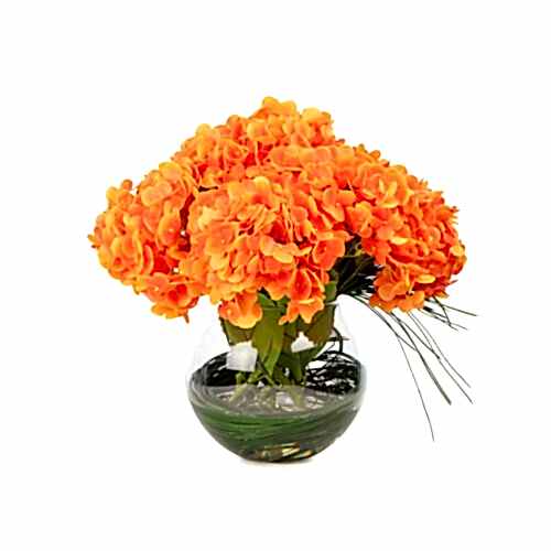 Jelli Islak Dokulu Turuncu Ortanca Aranjman (30 CM) Jelli Islak Dokulu Turuncu Ortanca Aranjman (30 CM)