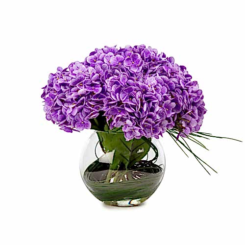 Jelli Islak Dokulu Mor Ortanca Aranjman (30 CM) Jelli Islak Dokulu Mor Ortanca Aranjman (30 CM)