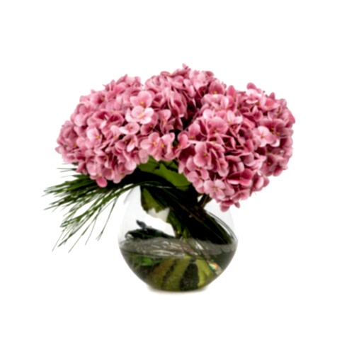 Jelli Islak Dokulu Tozlu Pembe Ortanca Aranjman (30 CM) Jelli Islak Dokulu Tozlu Pembe Ortanca Aranjman (30 CM)