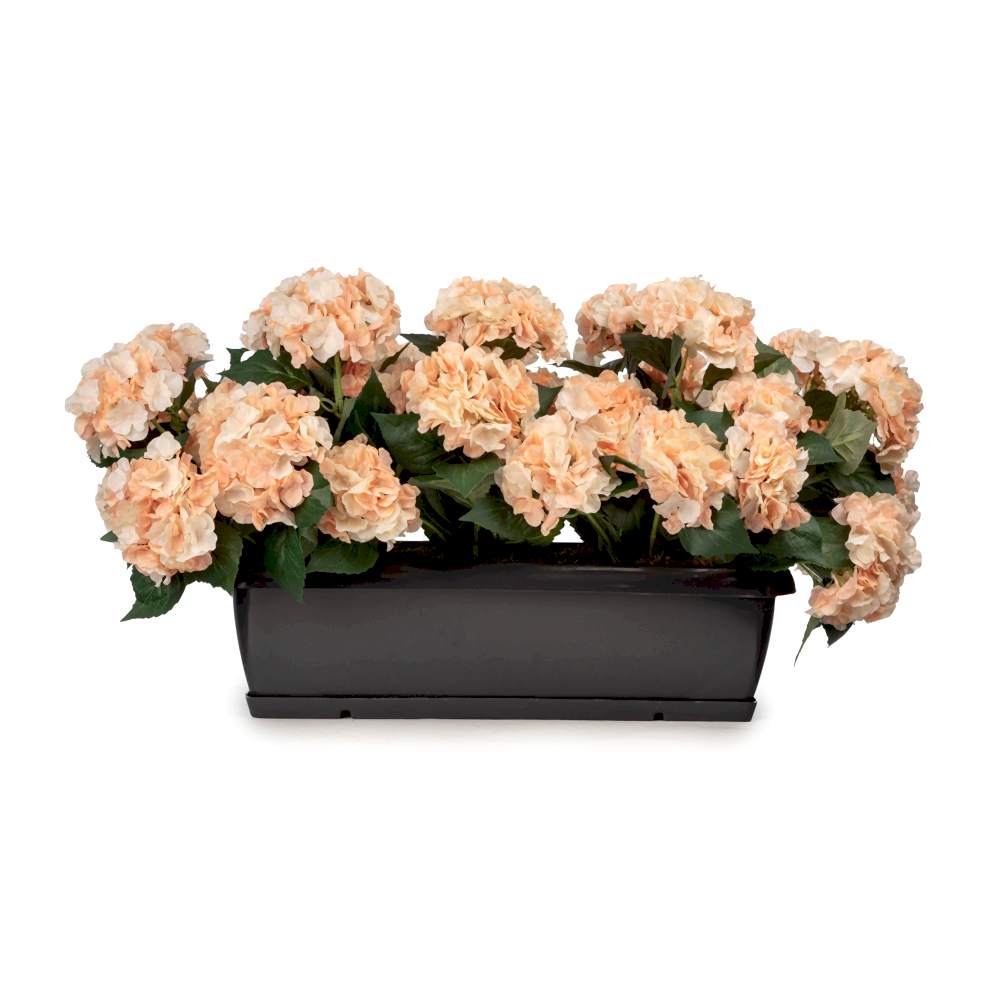 Balkon Saksısı Somon Ortanca Aranjman (80 CM) Balkon Saksısı Somon Ortanca Aranjman (80 CM)