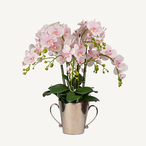 Metal Saksıda Islak Dokulu Pembe Orkide Aranjman (50 CM)