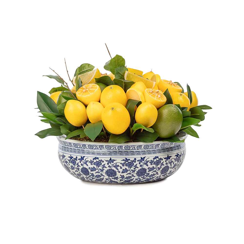 Bleu Blanc Yayvan Kase Limon Aranjman (20 CM) Bleu Blanc Yayvan Kase Limon Aranjman (20 CM)