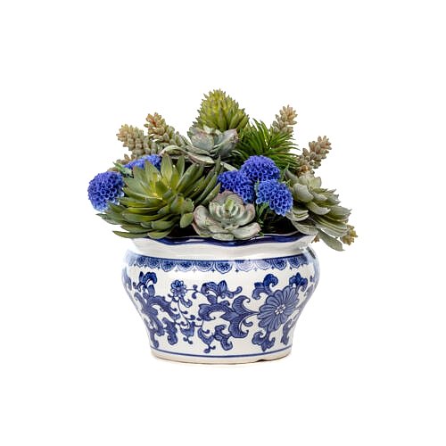 Bleu Blanc Vazo Sukkulent Aranjman (24 CM)