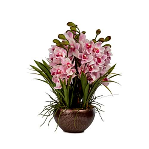 Islak Dokulu Pembe Vandal Orkide Aranjman (70 CM)