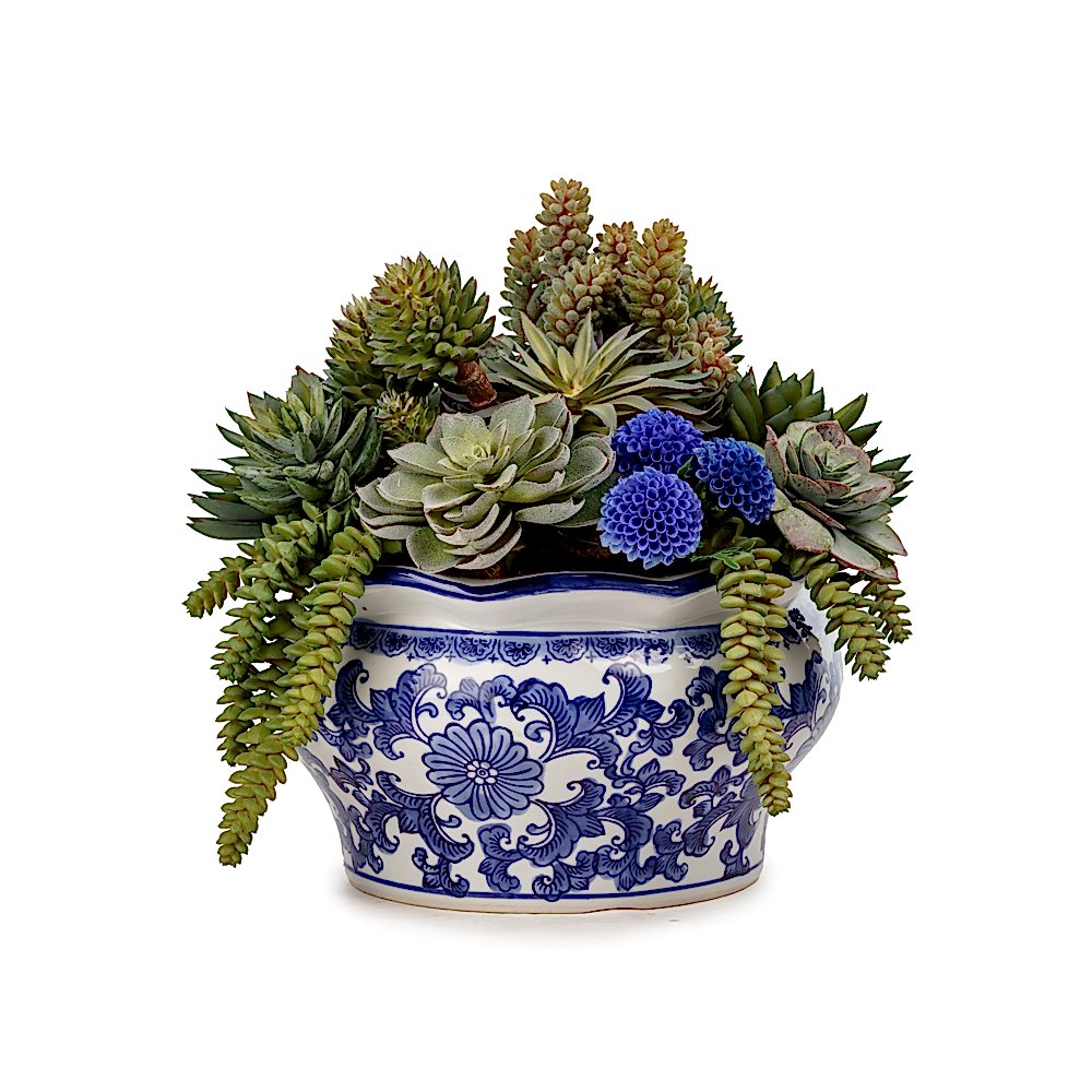 Bleu Blanc Vazo Karışık Sukkulent Aranjman ( 34 CM) Bleu Blanc Vazo Karışık Sukkulent Aranjman ( 34 CM)