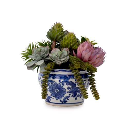 Bleu Blanc Pembe Lotuslu Sukkulent Aranjman (34 CM)