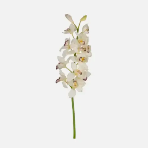 Yapay Islak Dokulu Cymbıdıum Orchıd (132 CM) Yapay Islak Dokulu Cymbıdıum Orchıd (132 CM)