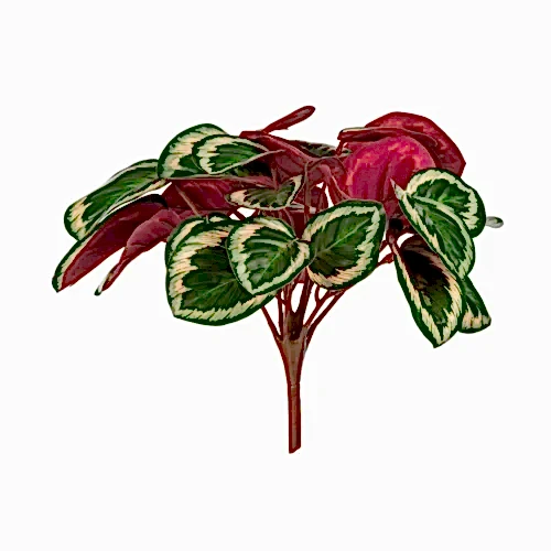 Yapay Calathea Ornata Bush (28 CM) Yapay Calathea Ornata Bush (28 CM)