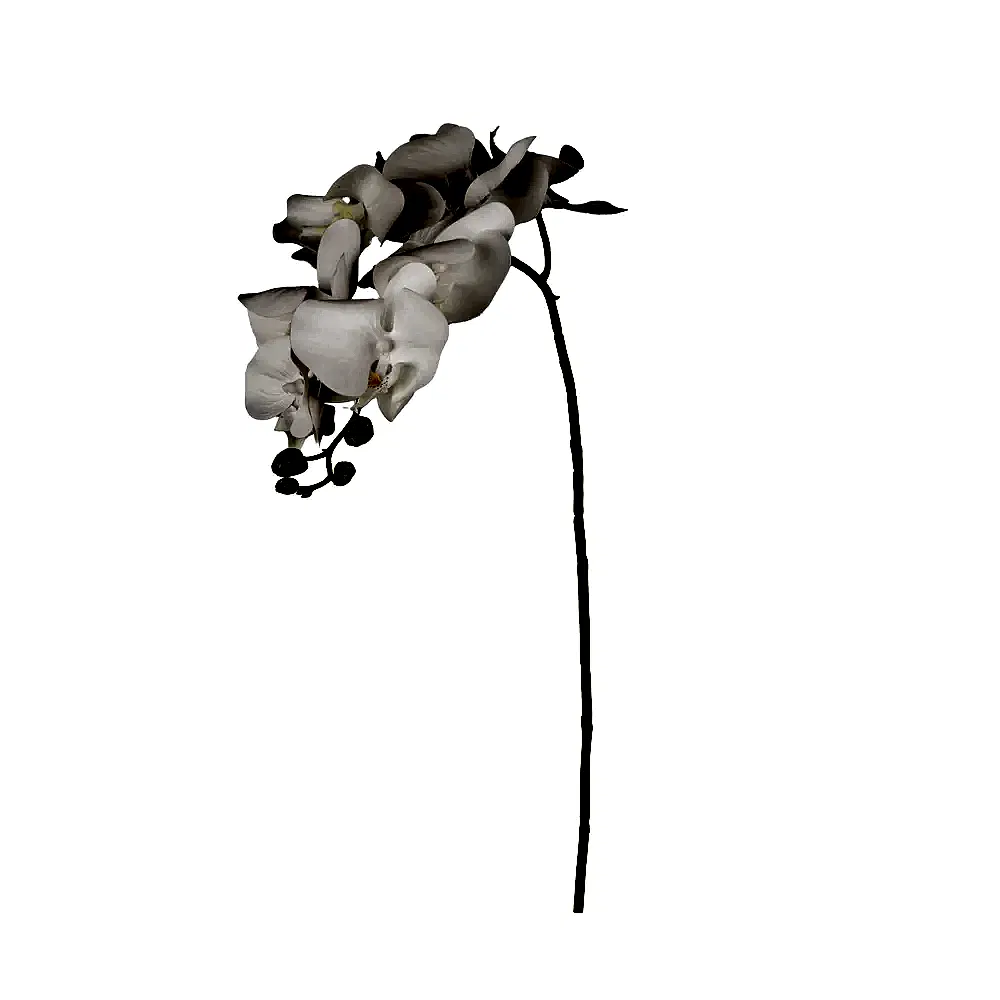 Yapay Orkide Dal (94 CM) Yapay Orkide Dal (94 CM)