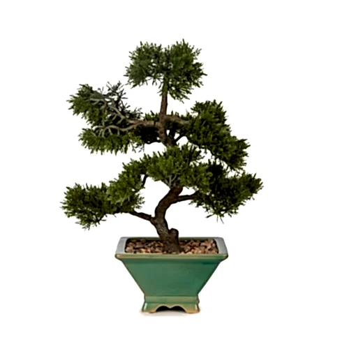 Yapay Saksılı Bonsai (46 CM) Yapay Saksılı Bonsai (46 CM)
